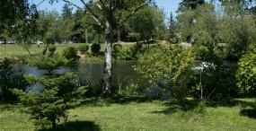 Wetlands