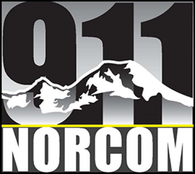 Norcom logo