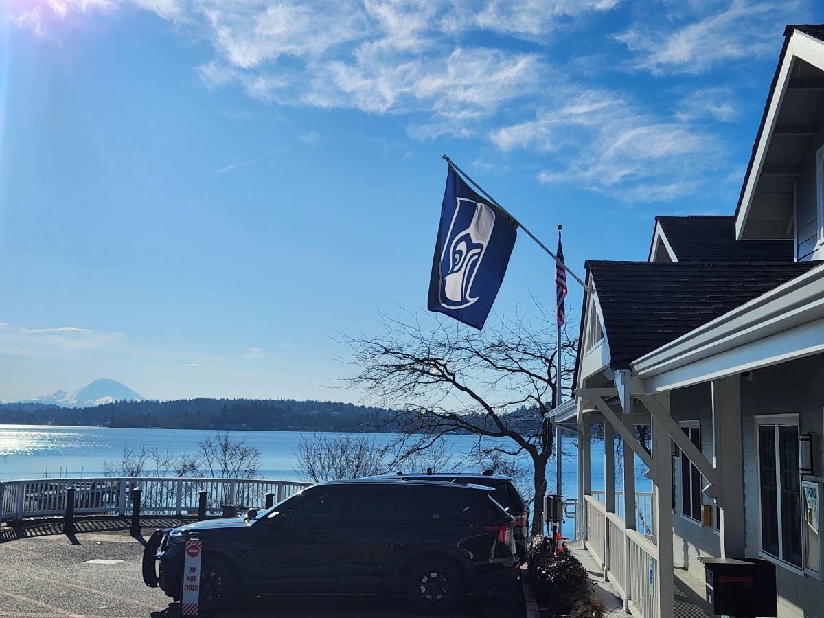 Seattle Seahawks Flag
